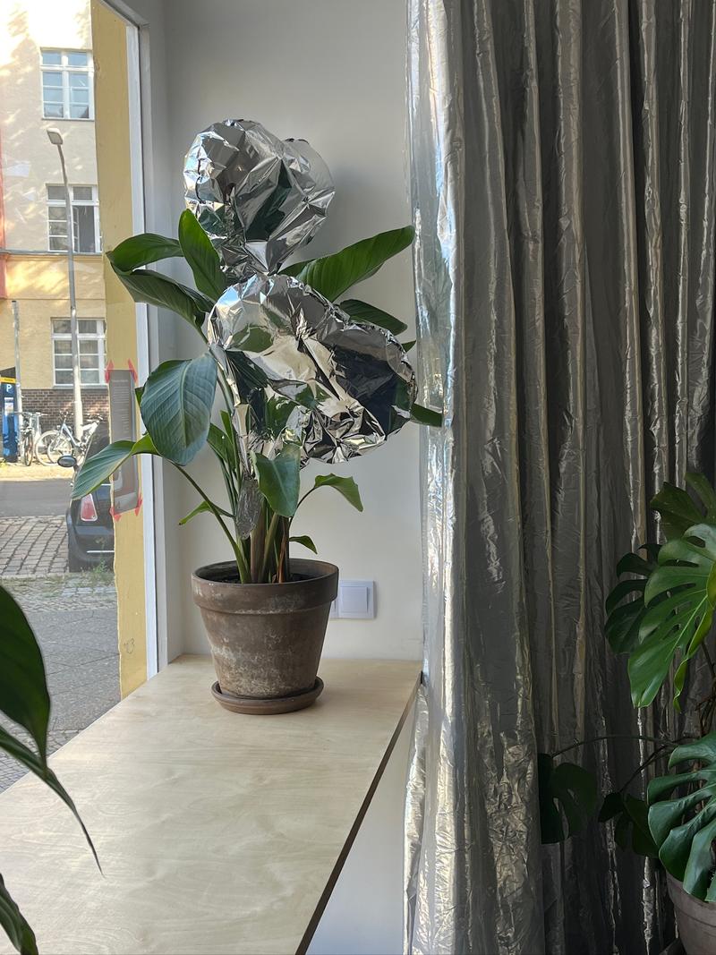 Events & Workshops im Studio Siebzehntausend