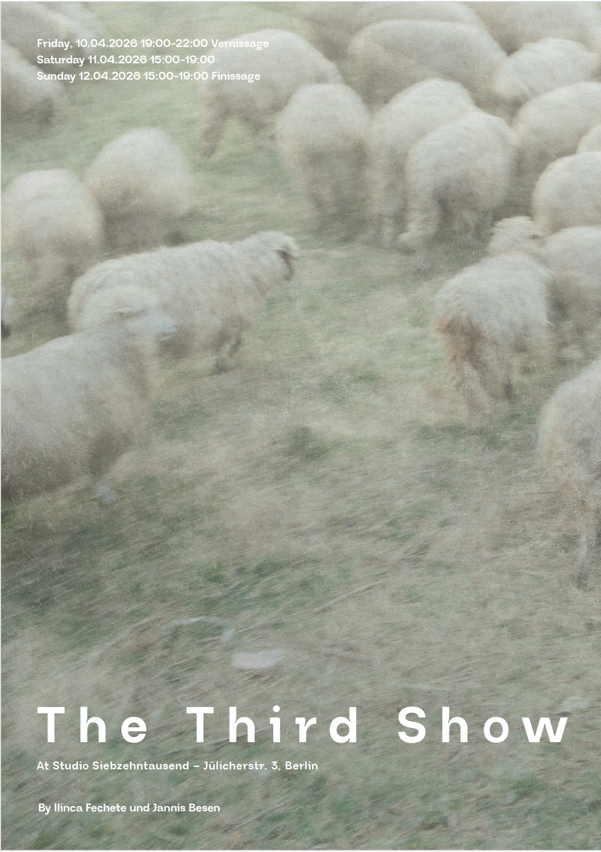 The Third Show — Poster 1, Ilinca Fechete und Jannis Besen